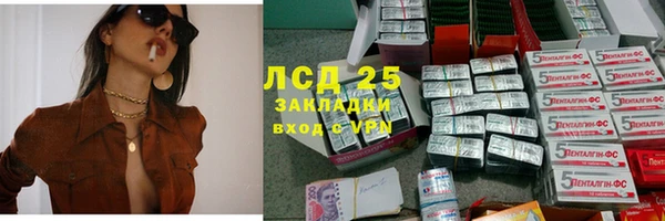 ешки Бородино