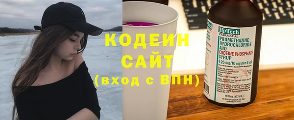 прущий лед Вяземский