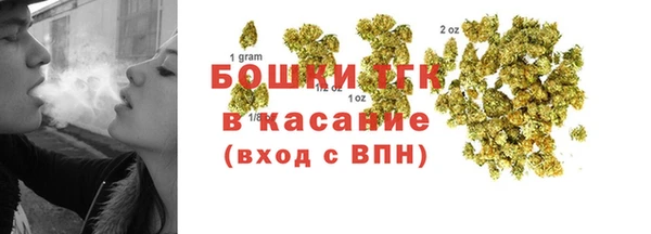 ешки Бородино