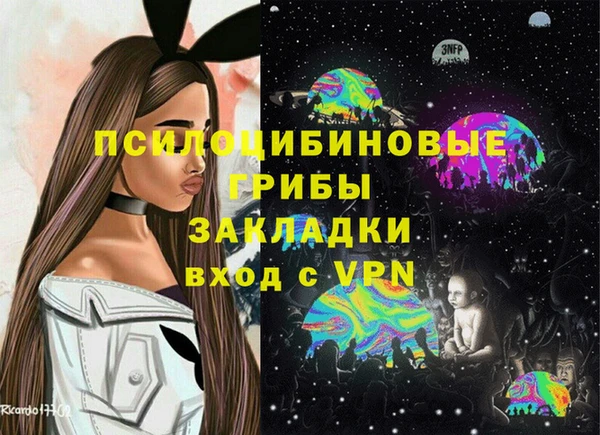 индика Нефтекумск