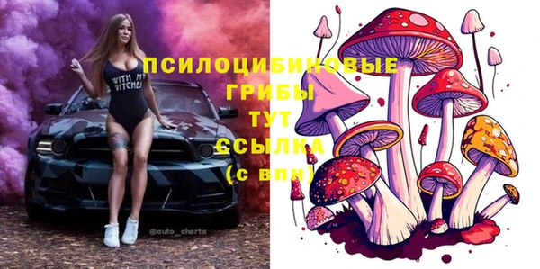 ешки Бородино
